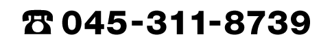 045-311-8739